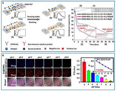 Silicon Nanomaterials for Biosensing and Bioimaging Analysis